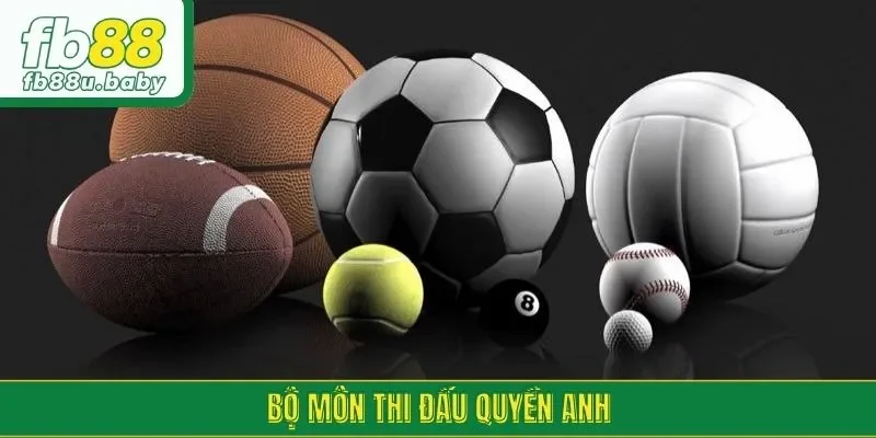 Bộ môn thi đấu quyền anh