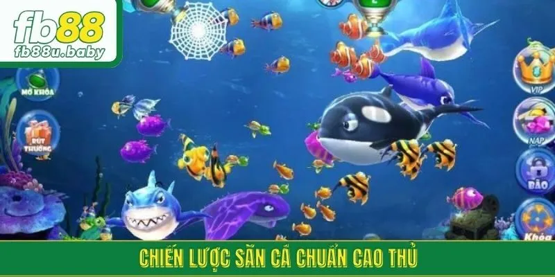 Chiến lược săn cá chuẩn cao thủ