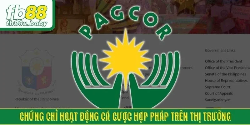 Chứng chỉ hoạt động cá cược hợp pháp trên thị trường