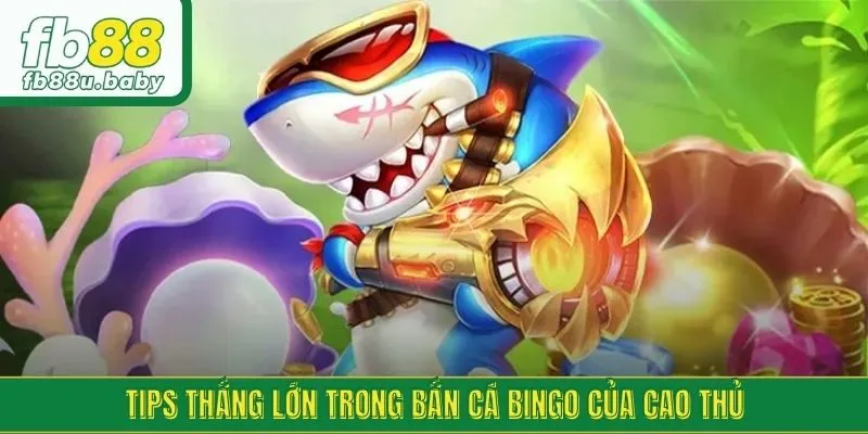Tips thắng lớn trong bắn cá Bingo của cao thủ